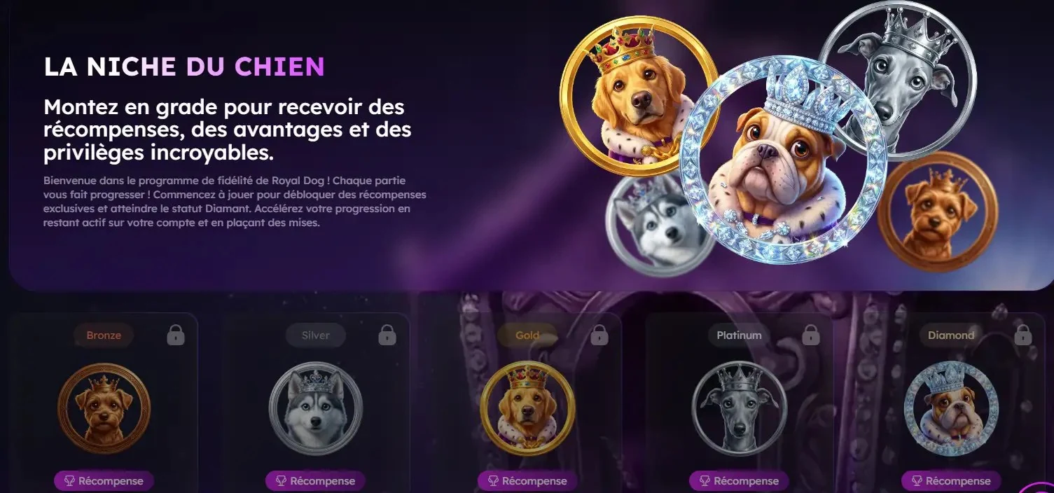 La Niche du Chien : niveaux VIP de RoyalDogs